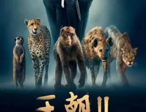 王朝第二季全6集 2022无台标英语中英双字纪录片-蓝海网