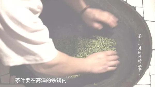 茶一片树叶的故事