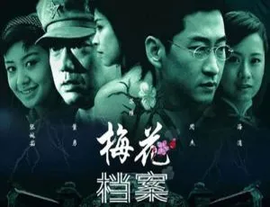 梅花档案 2003 全22集 毛卫宁执导 高清国语中字