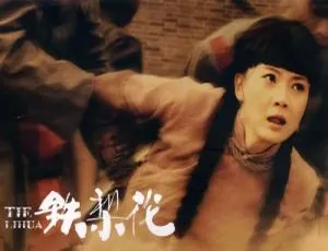 铁梨花2010 全43集 郭靖宇导演 高清国语中字-蓝海网