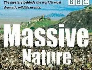 BBC自然纪录片群体大自然高清国语版