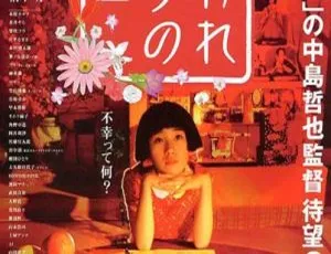 被嫌弃的松子的一生：2006日本高分剧情片 国语中字版-蓝海网