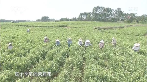 广西美食图谱