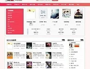2019粉色主题小说视频搭建教程 YGBOOK内核详解-蓝海网