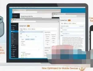 Gravity Forms 2.4.22.1中文汉化版 - WordPress高级自定义表单插件-蓝海网