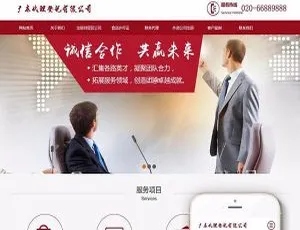 税务筹划代理公司注册网站模板-手机自适应响应式设计-蓝海网