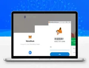 小狐狸MetaMask钱包WalletConnect源码-蓝海网