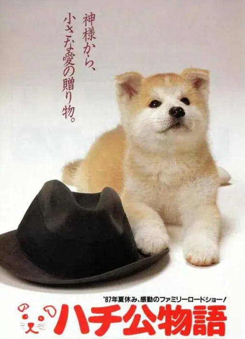 日本高分宠物电影