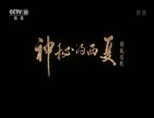神秘的西夏 1080P高清 10集全 国语中字-蓝海网