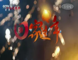 回家过年 纪录片 高清全10集 国语中字-蓝海网