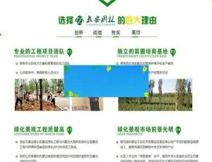 DedeCMS市政园林绿化企业官网模板-响应式移动端适配-蓝海网
