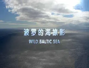波罗的海掠影 Wild Baltic Sea 全3集 蓝光高清 TS中字-蓝海网