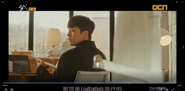 张基龙林珍娜悬疑剧