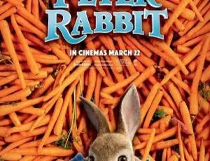 彼得兔Peter Rabbit英文版第1季全28集 经典儿童动画 高清全集