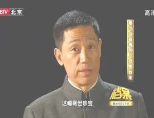 2011 BTV档案 溥仪自盗清明上河图奇案始末 720p HDTV高清纪录片-蓝海网