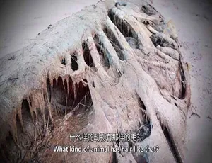 证据就在那里 The Proof is Out There 纪录片第二季全12集 1080P MKV高清 英语中英双字 官方纯净版-蓝海网