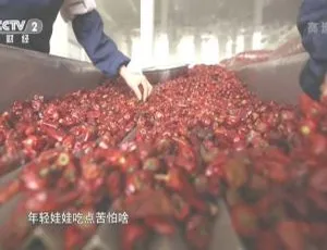 劳动筑就中国梦 2015中国大陆全6集缺第3集