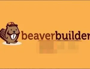 Beaver Builder专业版v2.4.2.2中文汉化 - WordPress可视化页面设计插件-蓝海网