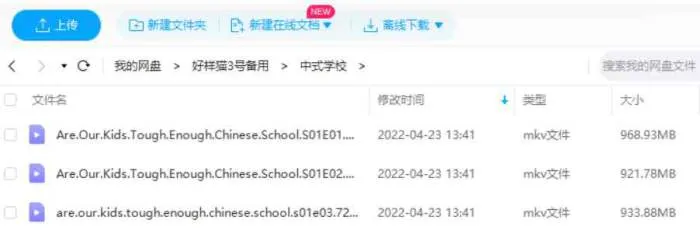 跨文化教学实验