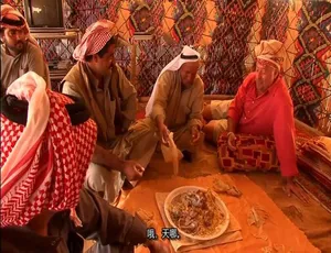 古怪食物第四季：全球美食探险（23集全 1080P 英语中字）-蓝海网