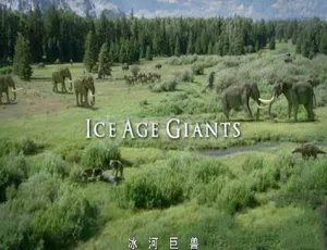 冰河巨兽 Ice Age Giants 全3集 高清纪录片