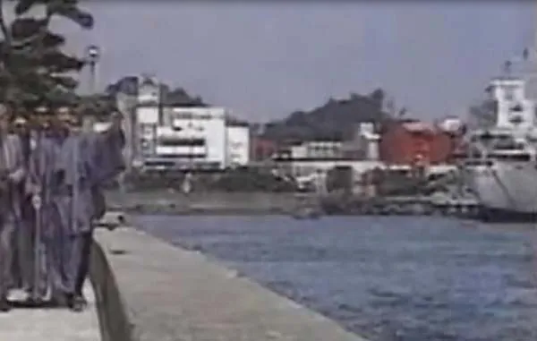 希望之鸽 1990