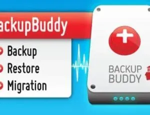 BackupBuddy网站备份恢复工具中文版-WordPress插件8.7.3.0-蓝海网