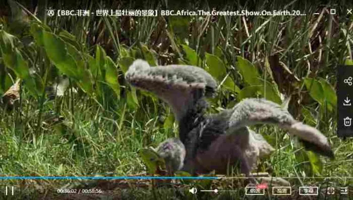 高清自然影像