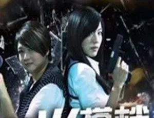 最火搭档 全两季 2010 新加坡剧集 40集国语版 720P高清-蓝海网