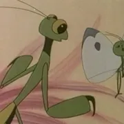 奇怪的病号