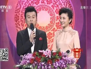 2015中国谜语大会第一季 高清3期合集-蓝海网