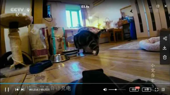 小宠当家纪录片全集