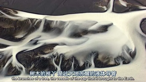 环保纪录片