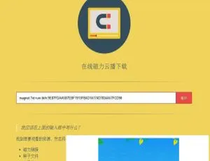 磁力链接边播边放网站源码开发方案-蓝海网