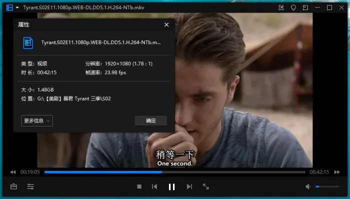 高清1080P中字