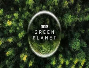 绿色星球 The Green Planet 4K蓝光高码率全5集 内嵌中文字幕 高清收藏版