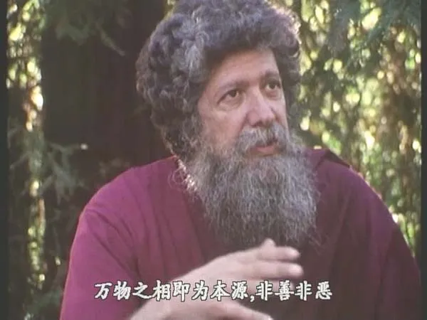 1994戛纳特别展映