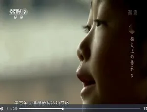指尖上的传承 1080P高清国语中字 6集全纪录片-蓝海网