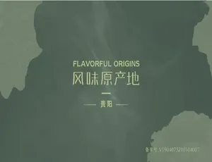 风味原产地贵阳 10集全 1080P高清 国语中字