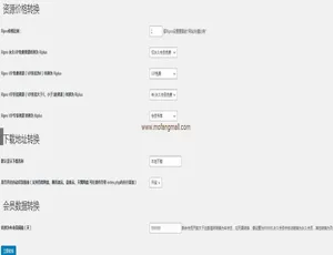 RiPro转RiPlus文章迁移 WordPress高效转换插件-蓝海网