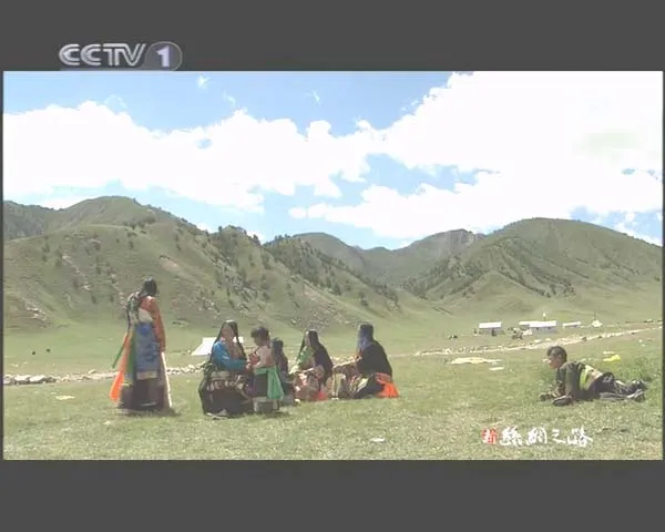 2006中国大陆纪录片