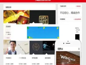 响应式品牌广告设计公司网站模板 手机电脑自适应dedecms主题