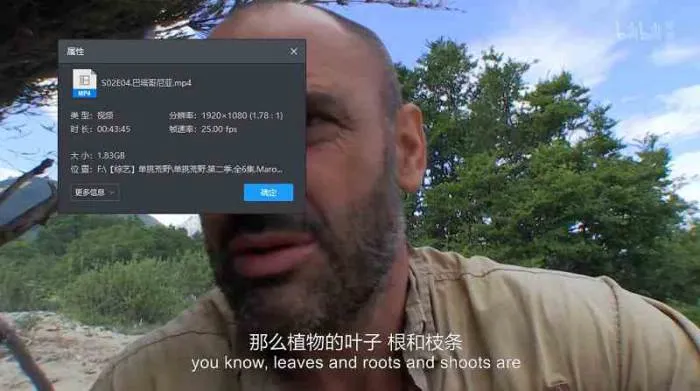 埃德·斯塔福德生存挑战