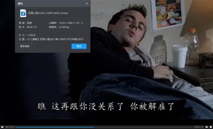犯罪心理1-15季