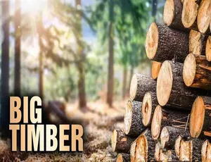 终极伐木达人 Big Timber 2020 第一季全10集 1080P MP4 英语多国中字 纪录片 21.6G