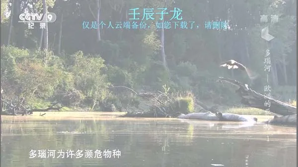 多瑙河流域生物多样性