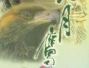 九月鹰飞 1996年香港经典剧情电视剧全集-蓝海网