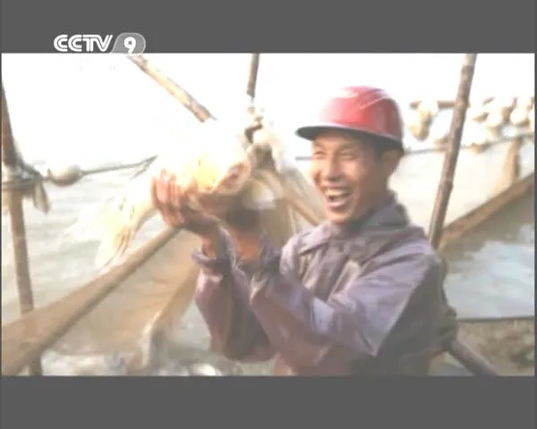 寻味纪录片