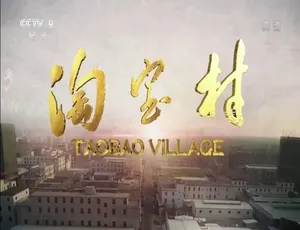 淘宝村2019纪录片 1080P高清 全5集 国语中字完整版-蓝海网