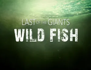 追踪巨型鱼 Last of the Giants 2022 全8集 720P高清 英语中字纪录片